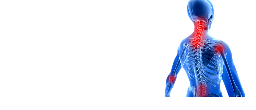 Total Hip Replacement